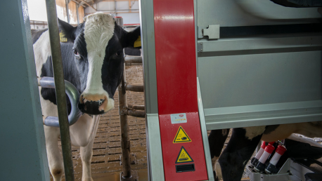 Lely Astronaut A5