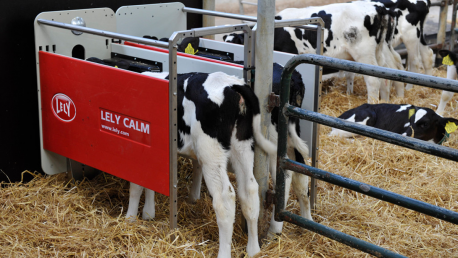 Lely Calm